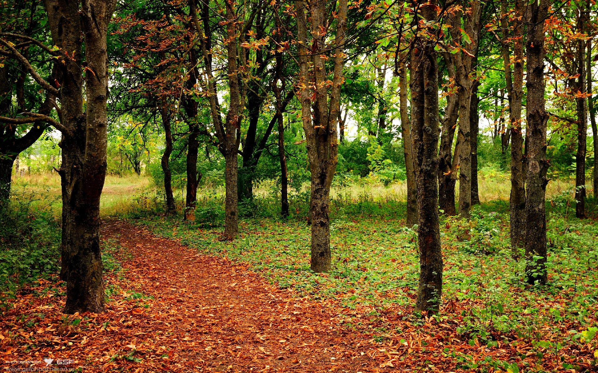 沉默的里程碑,马克西在欧冠决赛夜完成了职业生涯最安静的宣言