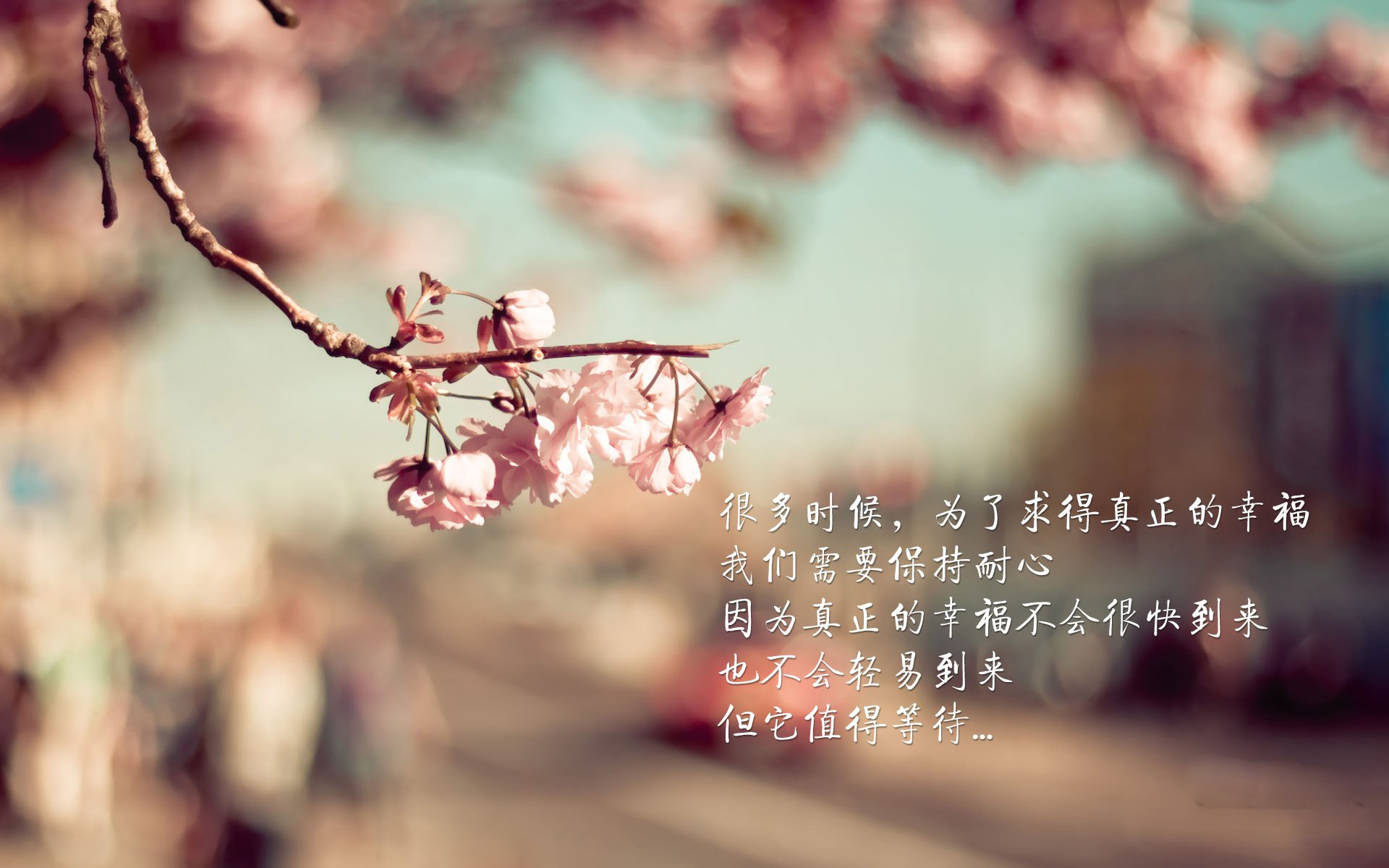 开云sport-贝恩破盾者，铁骑踏碎王座，骑士冲垮国王的统治力密码