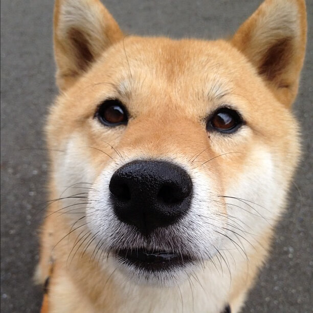 开云体育中国-世界排名的暗战，西亚卡姆接管之夜，老鹰突围记