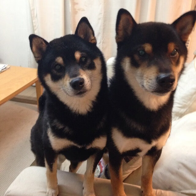 从弃将到掌控者,保罗如何用20分钟创造出逆转国王的尼克斯奇迹