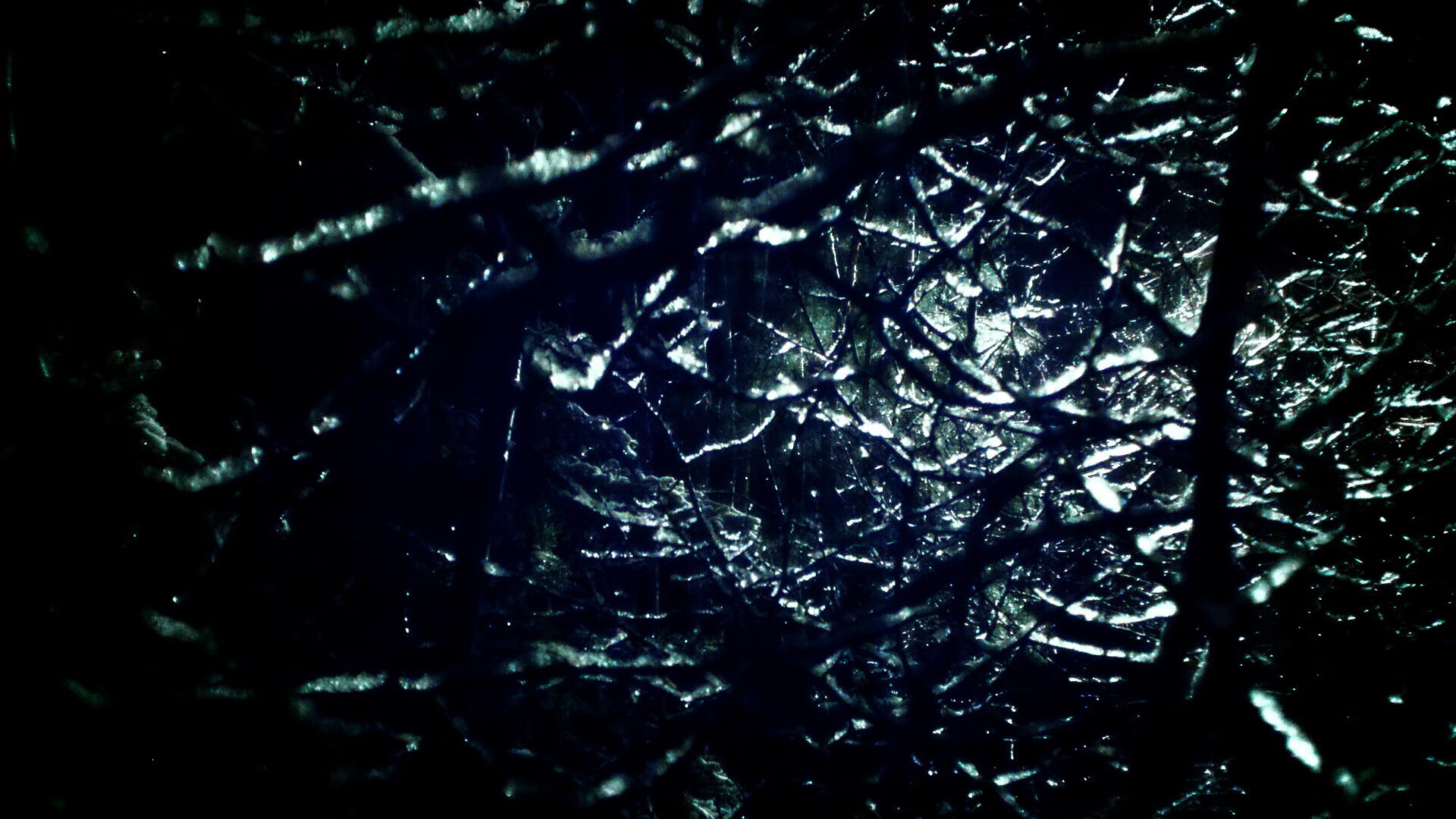 舞台与森林,保罗的指挥官艺术与灰熊的团队围猎