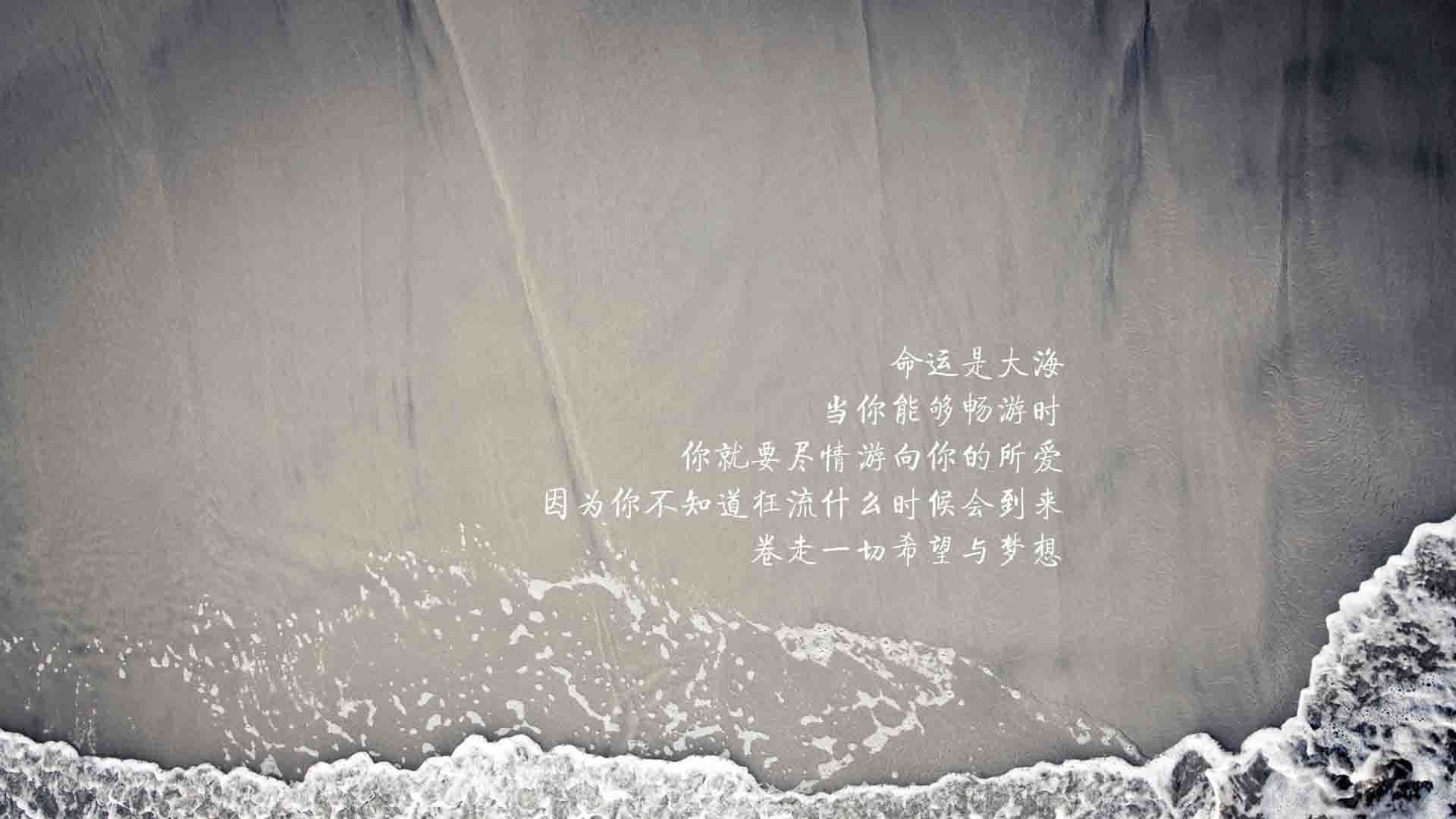 控球风暴下的新王,归化天才穆西亚拉引领伊朗,以压迫性控球碾碎塞尔维亚