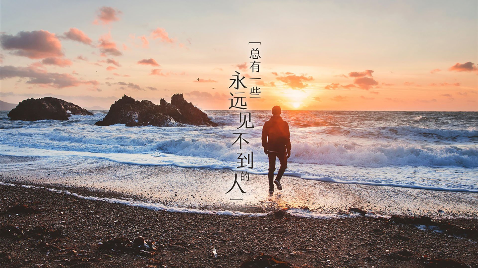 开云sport-以下是为您构思的标题和文章
