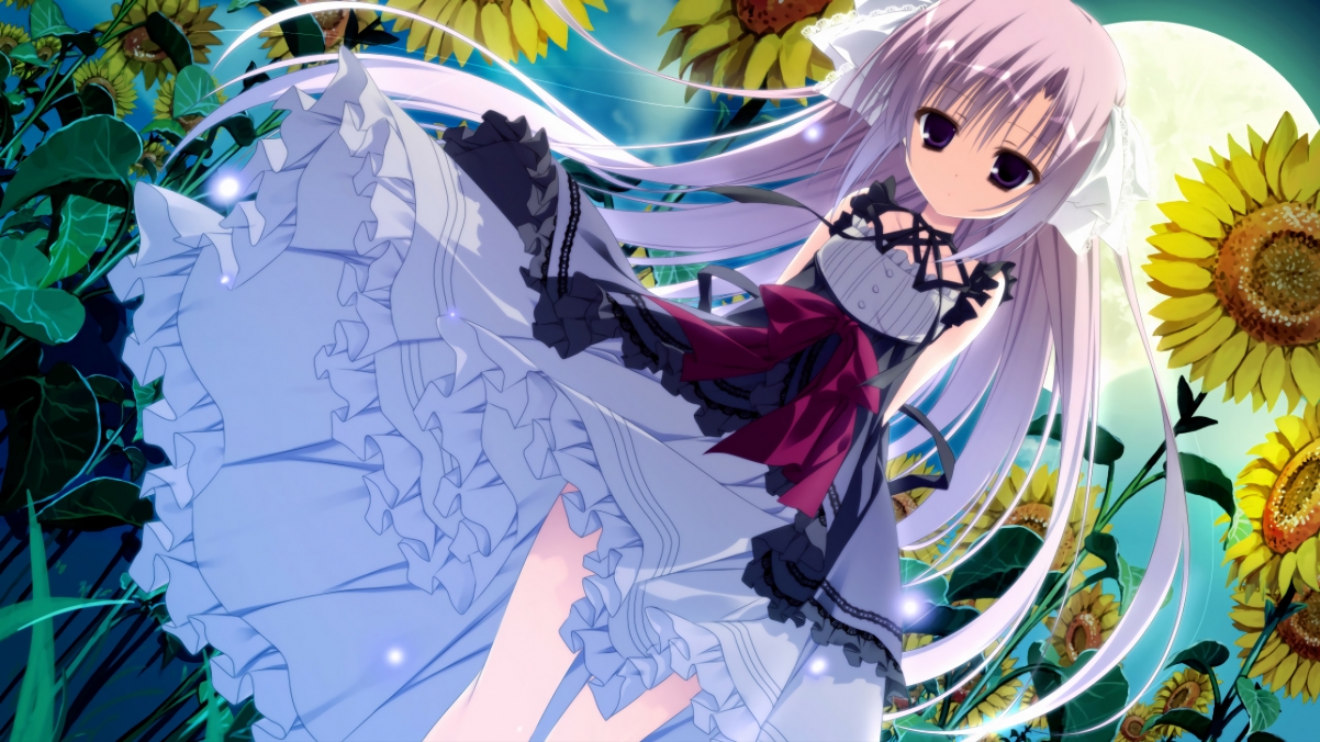逆转的宿命,铁壁与利刃的绝唱—2026世界杯B组,三笘薰如何用一次幽灵般的镜像改写日本足球的DNA