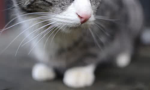 冰峡与钟表匠的悖论，论姆巴佩如何用一场非典型胜利，为2026世界杯写就唯一的宿命论